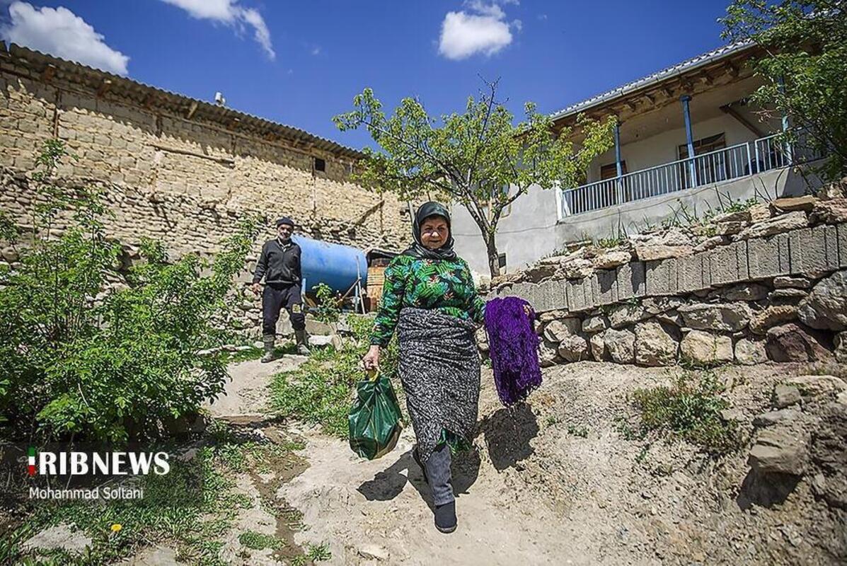 هنر گلیج بافی در مازندران
