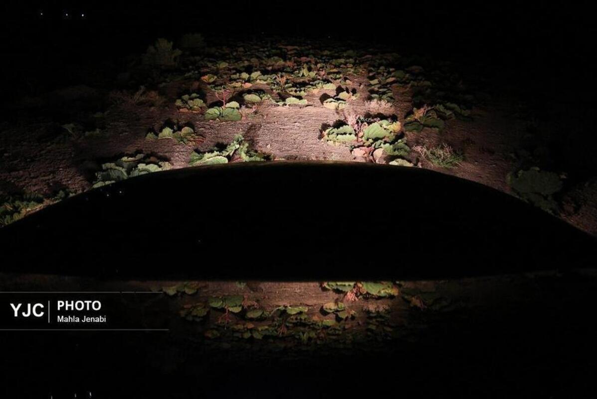  دشت ریواس کرمان