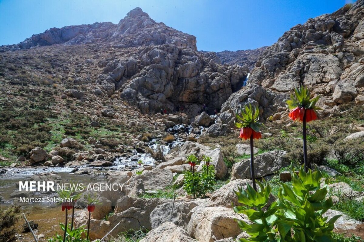 طبیعت بهاری چهارمحال و بختیاری