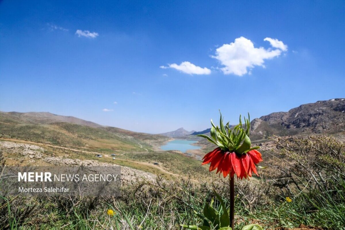 طبیعت بهاری چهارمحال و بختیاری