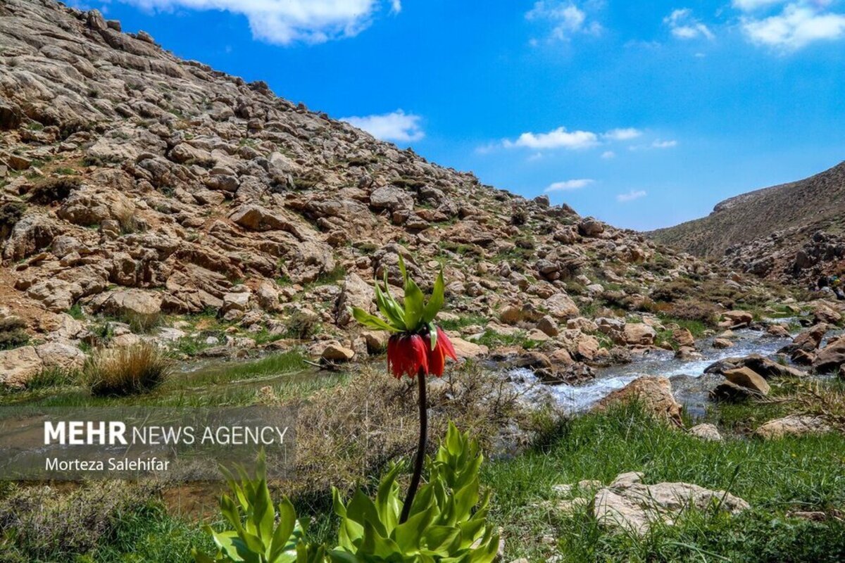 طبیعت بهاری چهارمحال و بختیاری