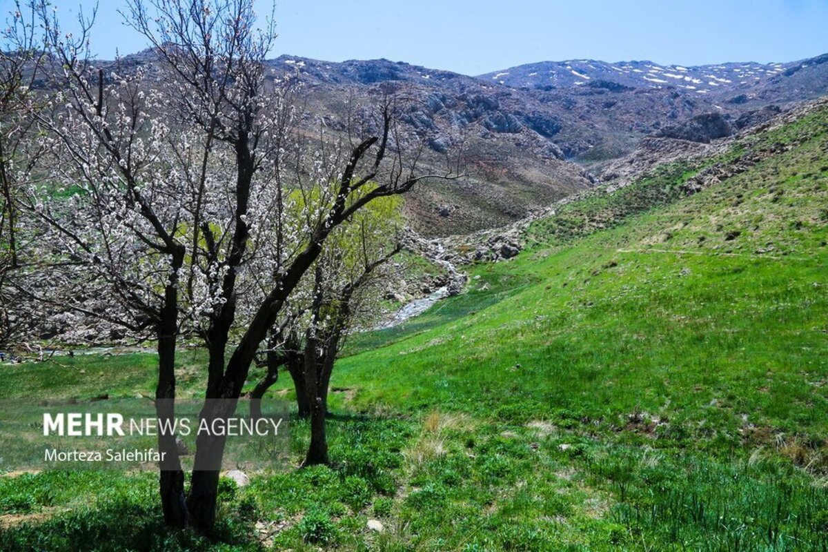 طبیعت بهاری چهارمحال و بختیاری