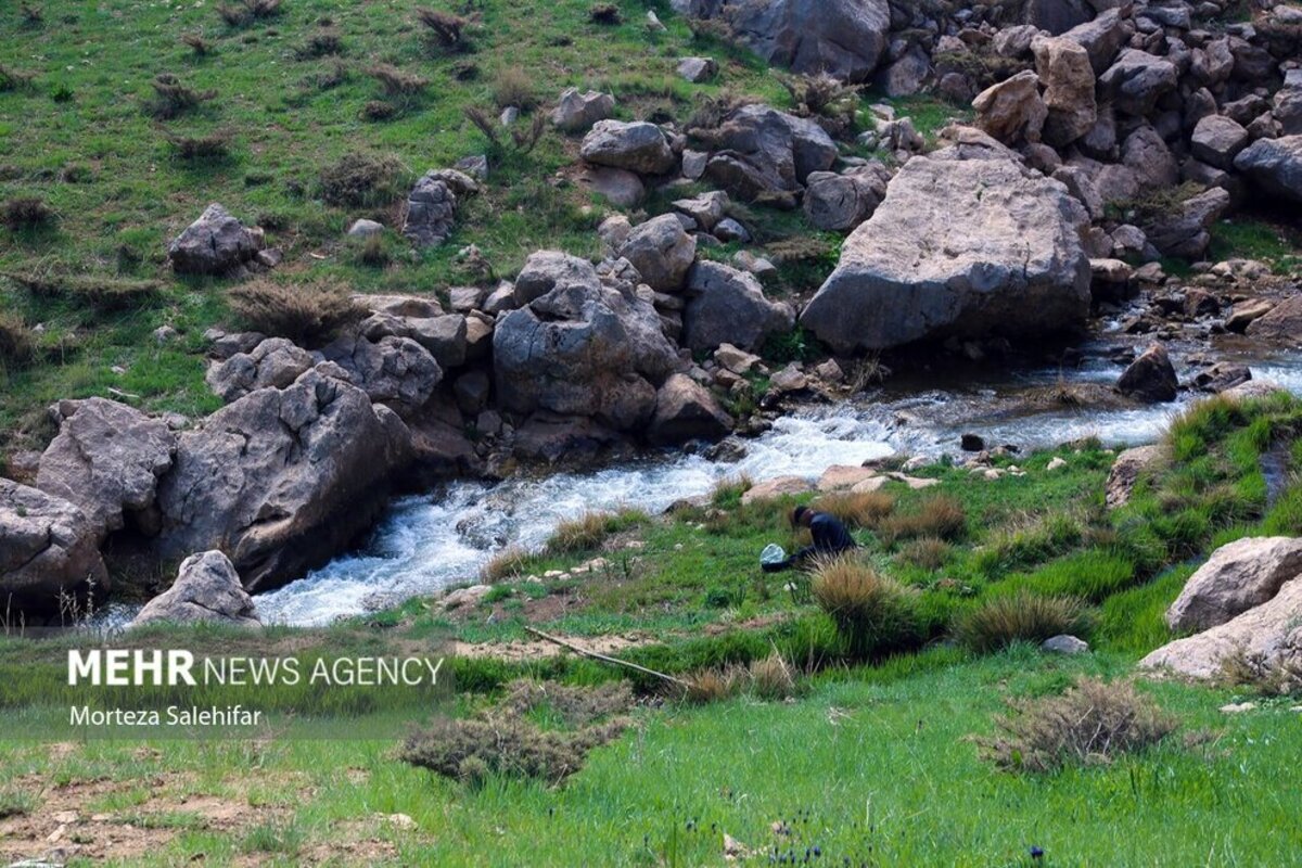 طبیعت بهاری چهارمحال و بختیاری