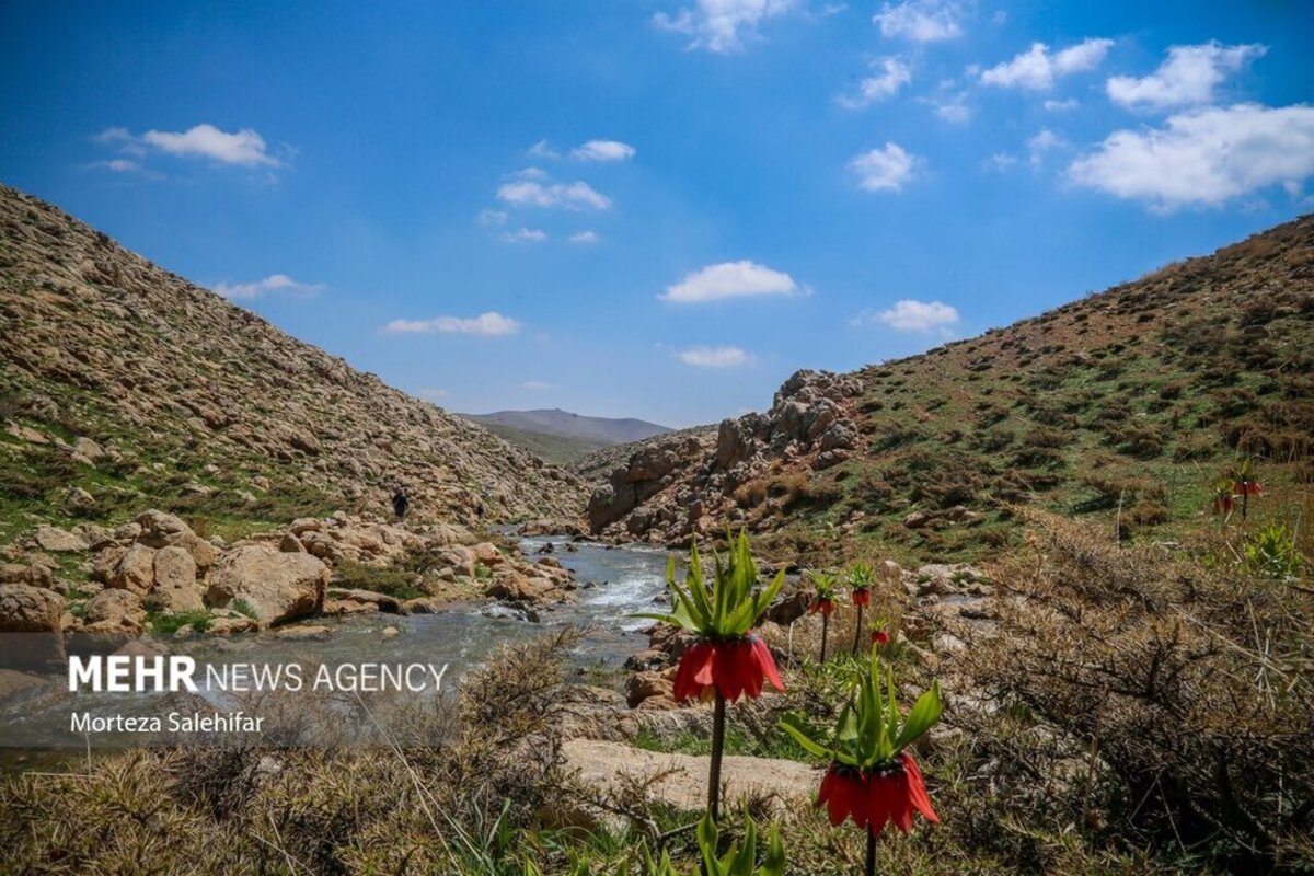 طبیعت بهاری چهارمحال و بختیاری
