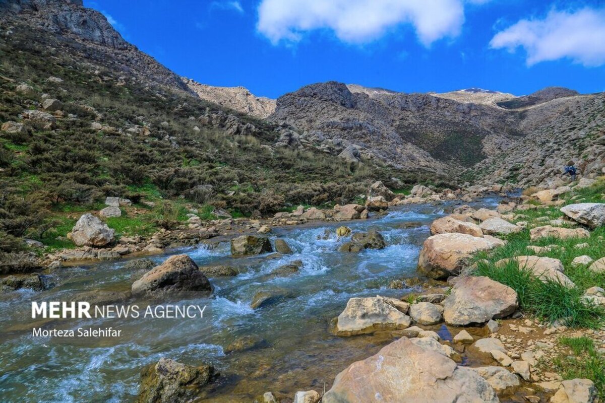 طبیعت بهاری چهارمحال و بختیاری