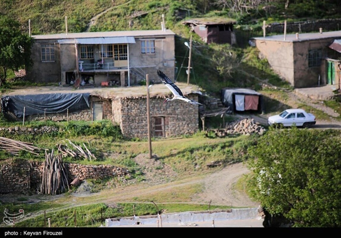 زیستگاه لک لک‌های مهاجر