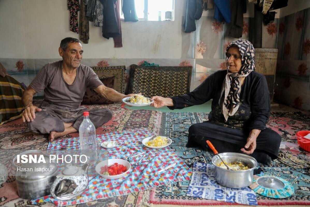 بانک نشا برنج در سوادکوه