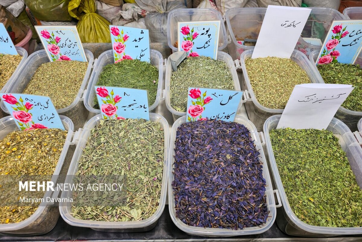 جشنواره اقوام ایرانی