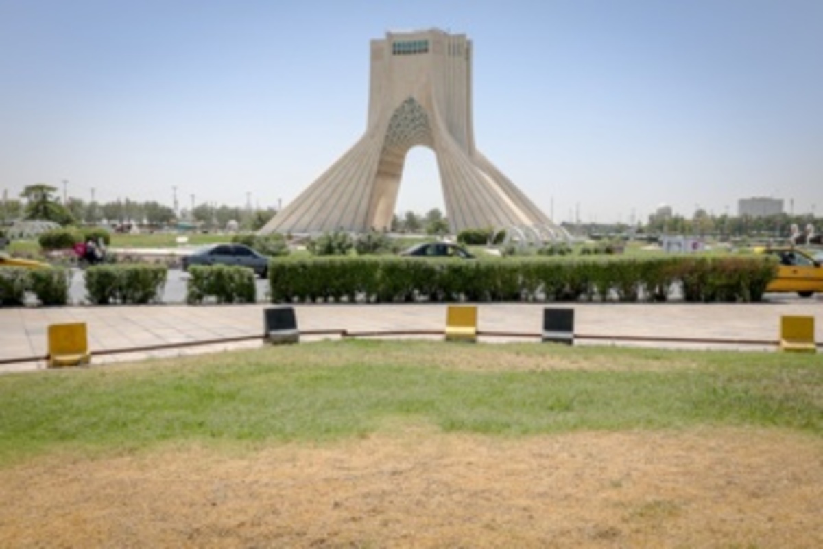 قطع سریالی درختان میدان آزادی