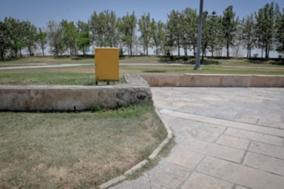 قطع سریالی درختان میدان آزادی