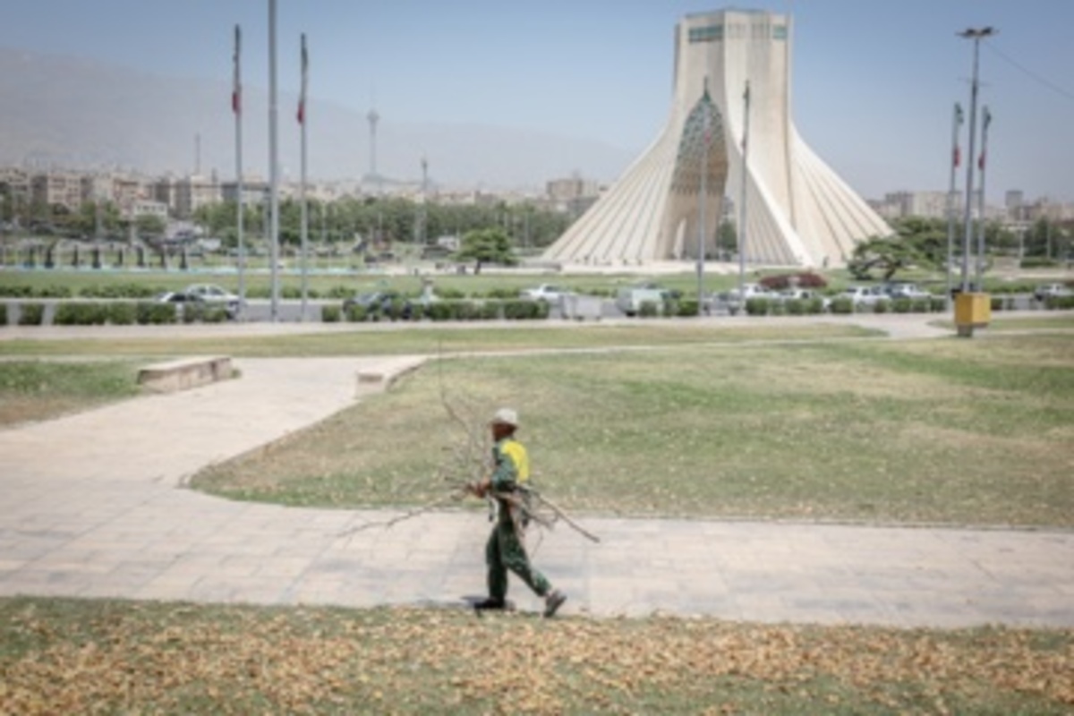 قطع سریالی درختان میدان آزادی