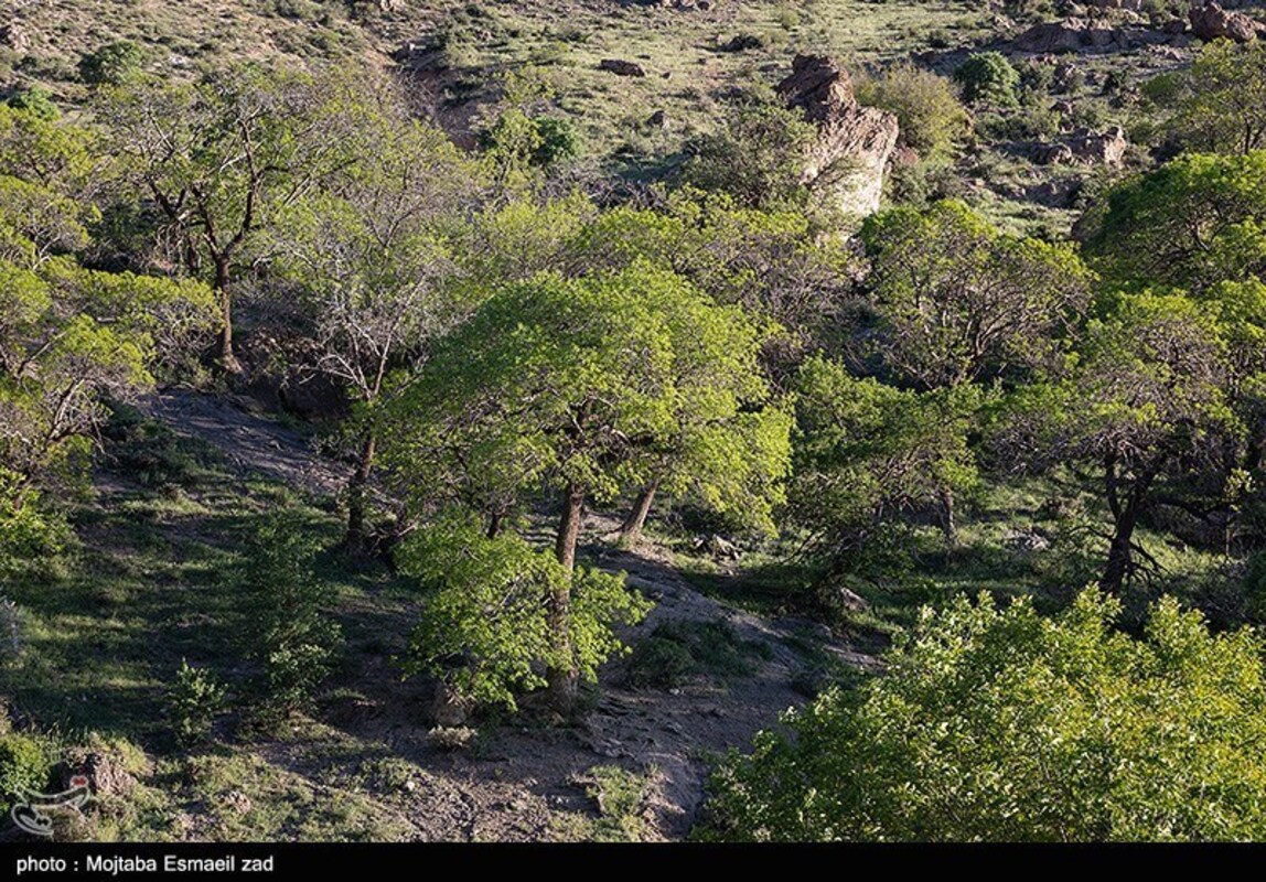 دره جرمی ارومیه