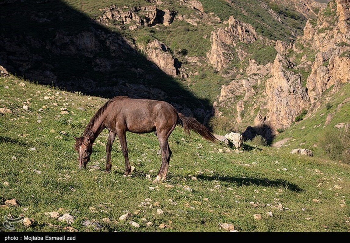 دره جرمی ارومیه