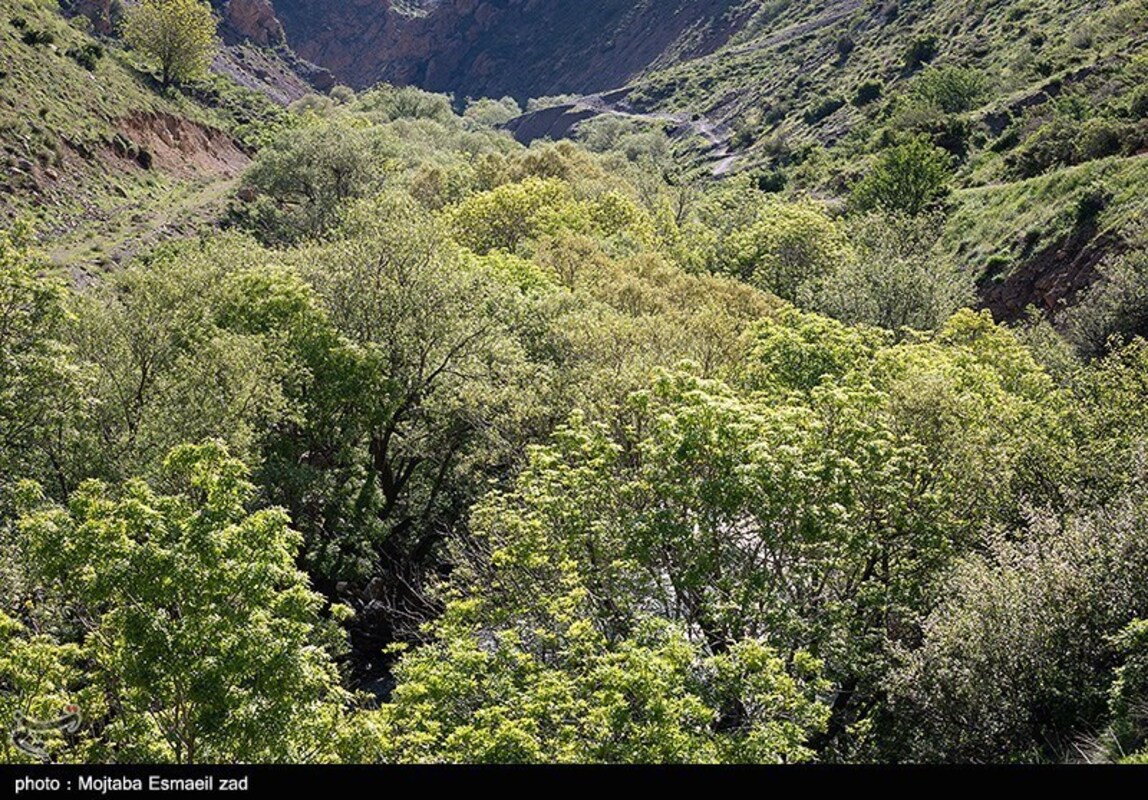 دره جرمی ارومیه