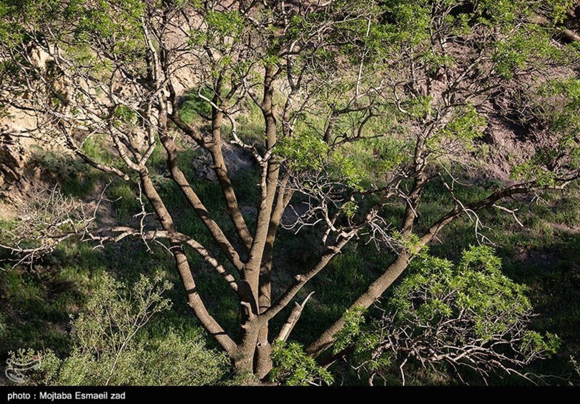 دره جرمی ارومیه