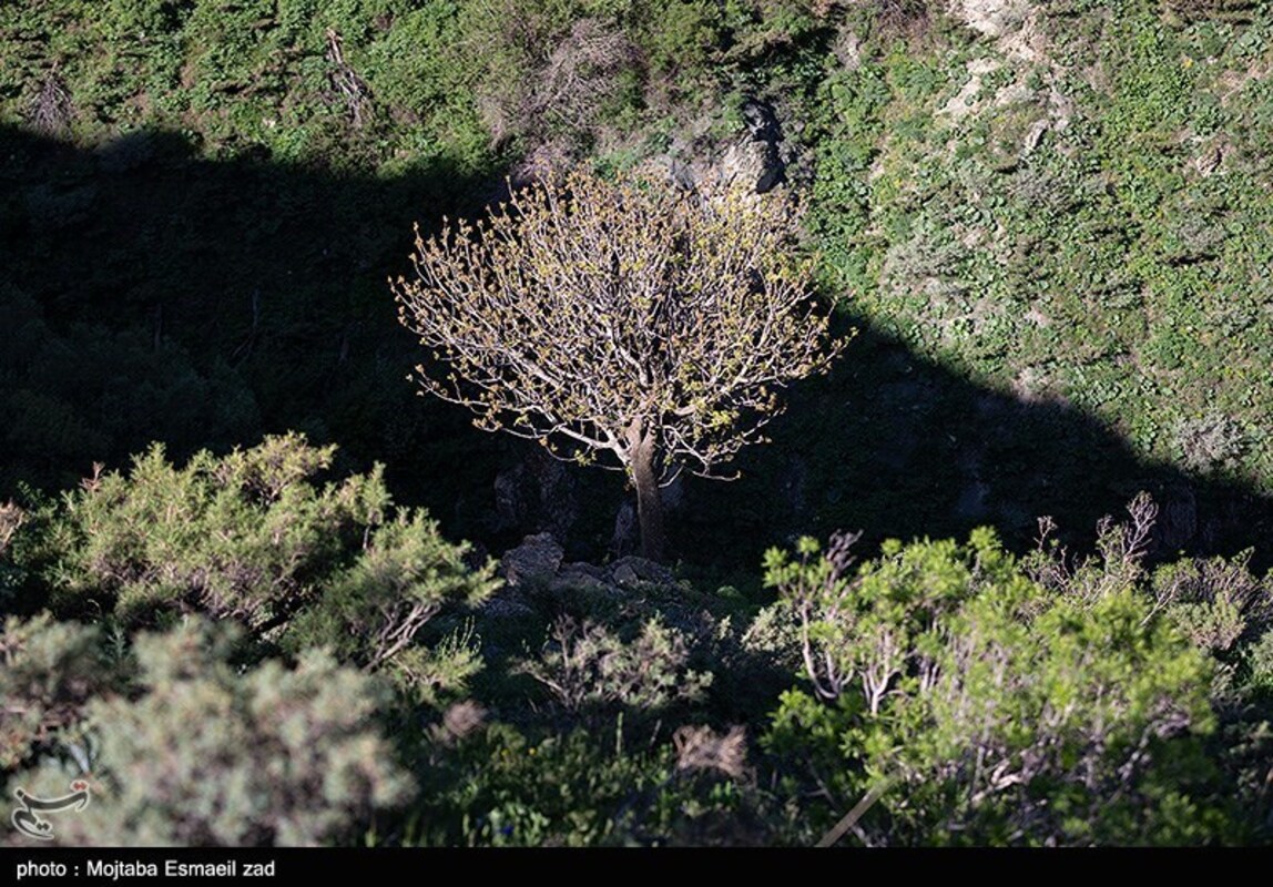 دره جرمی ارومیه