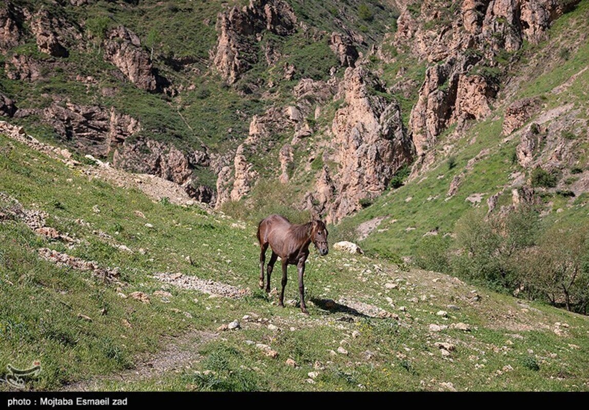 دره جرمی ارومیه