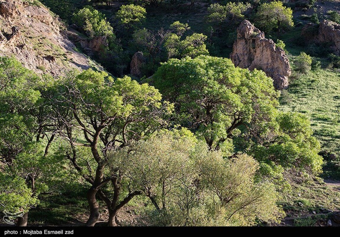دره جرمی ارومیه