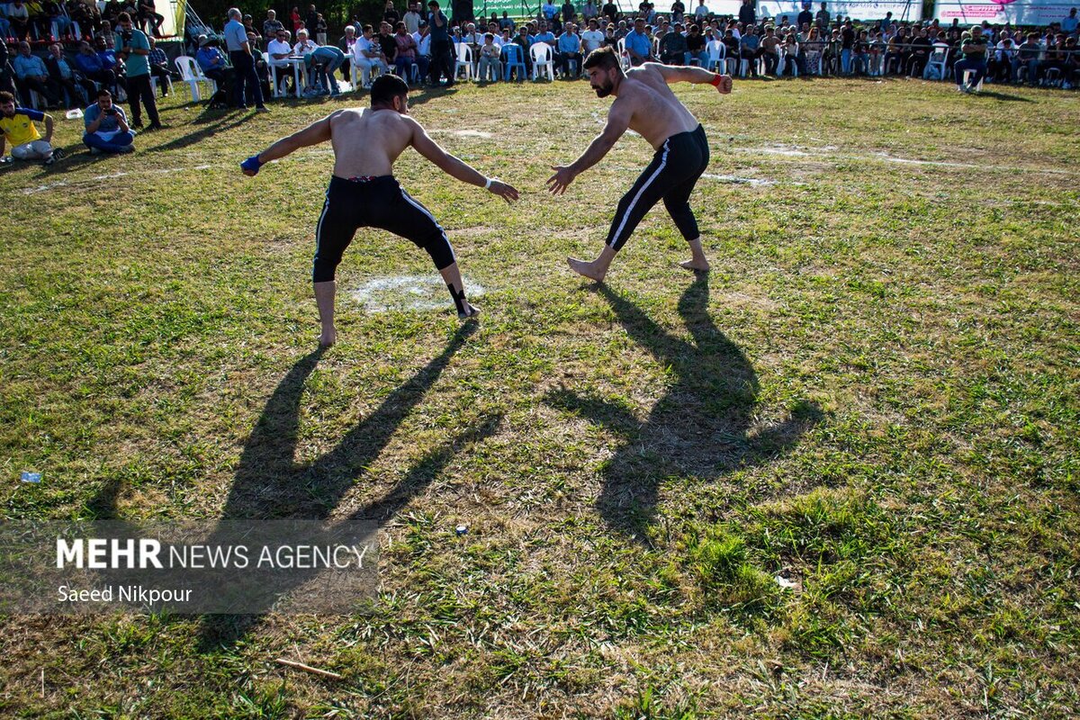 جذاب ترین تصاویر اردیبهشت ۱۴۰۴ ایران