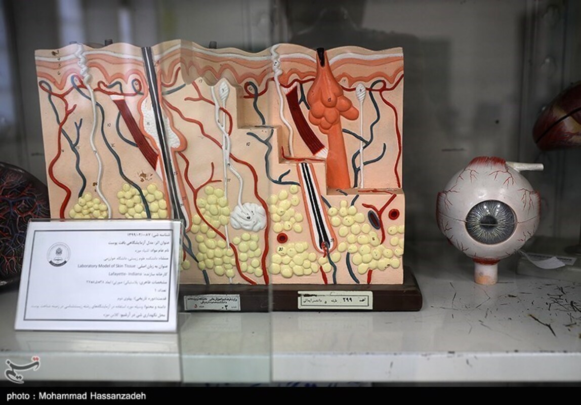 موزه دانشگاه خوارزمی