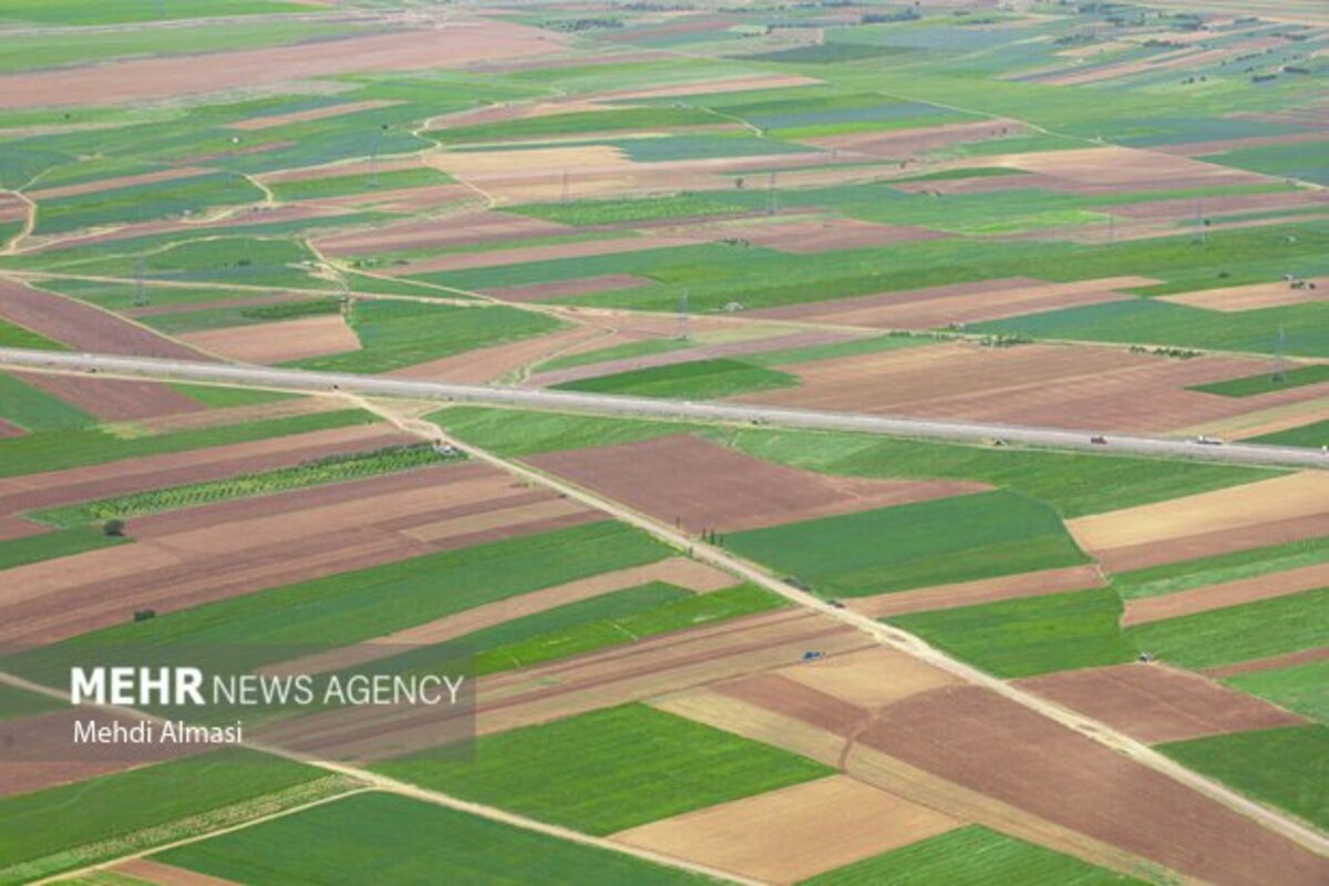 مزارع زنجان نگین سبز زمین