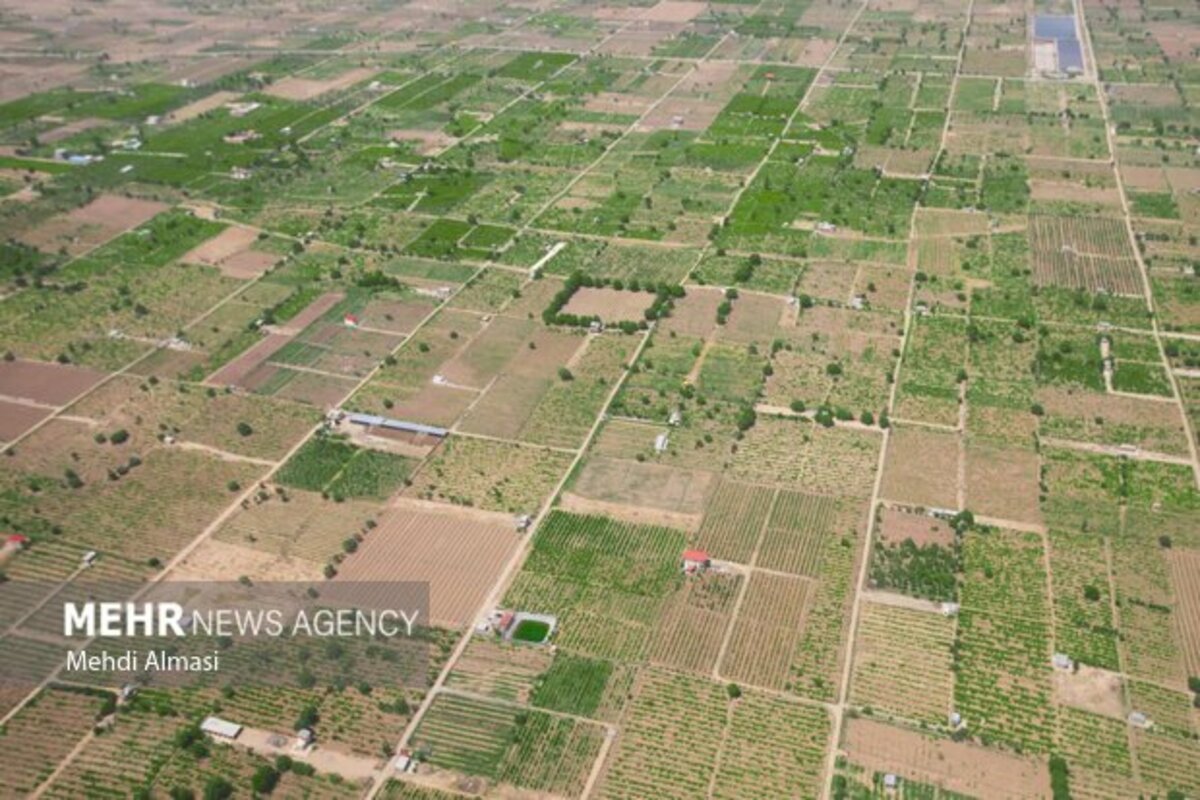 مزارع زنجان نگین سبز زمین