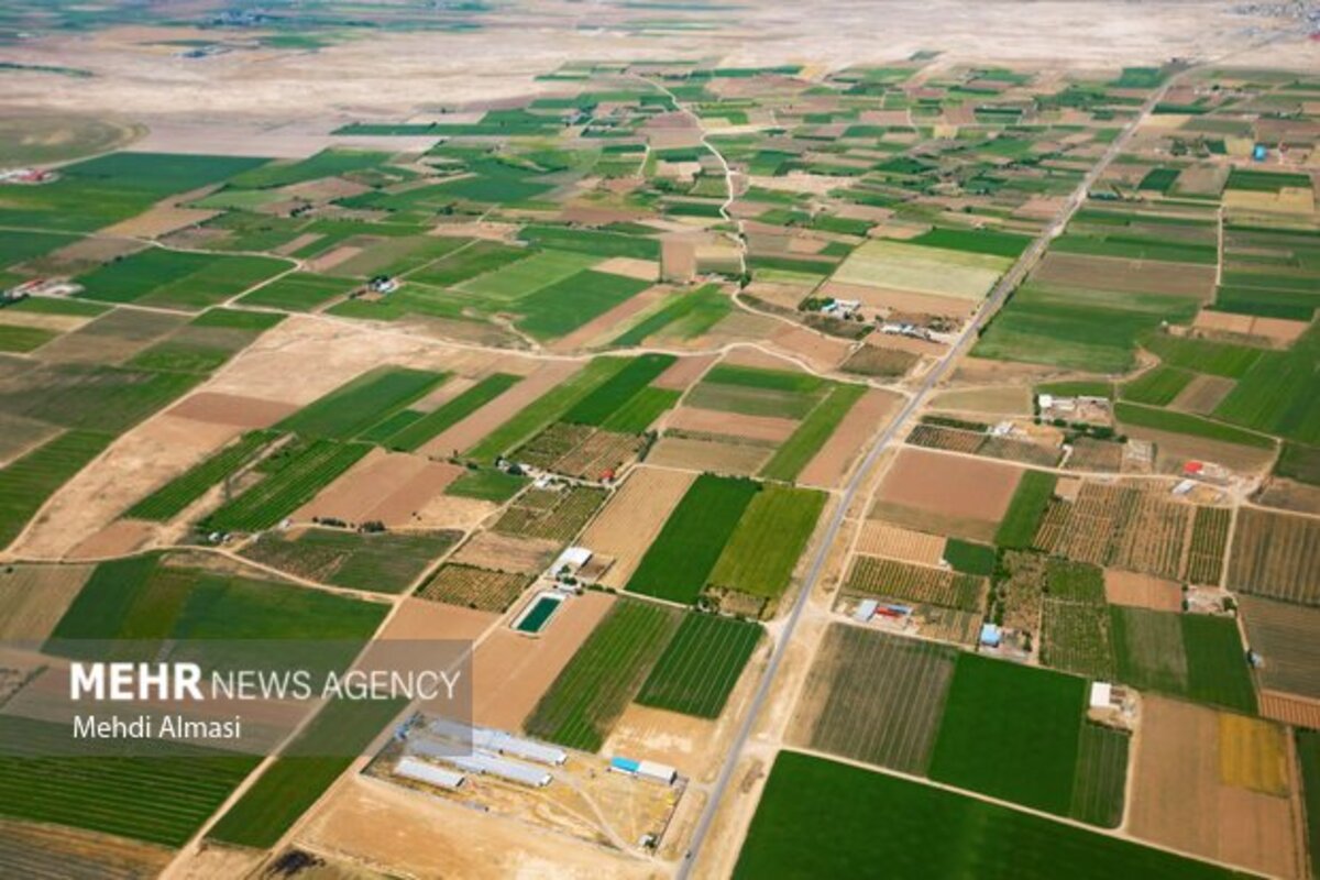 مزارع زنجان نگین سبز زمین