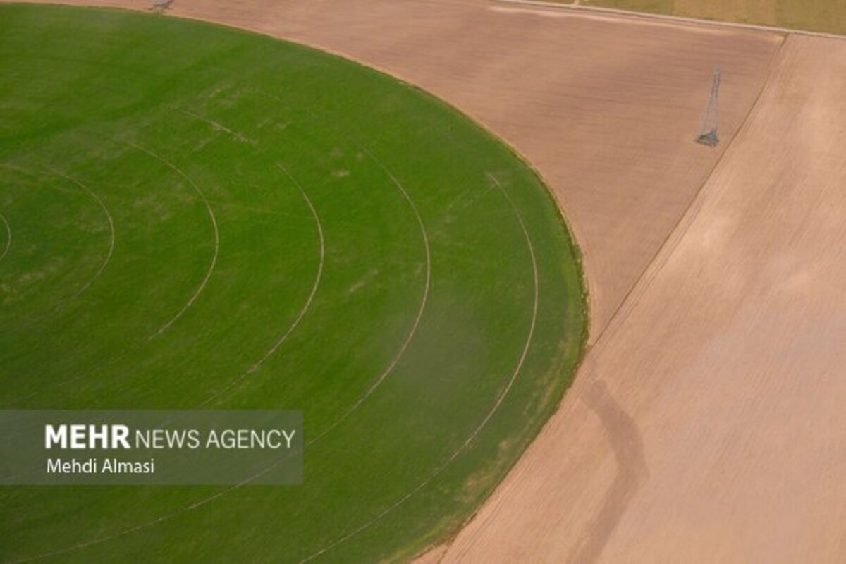 مزارع زنجان نگین سبز زمین