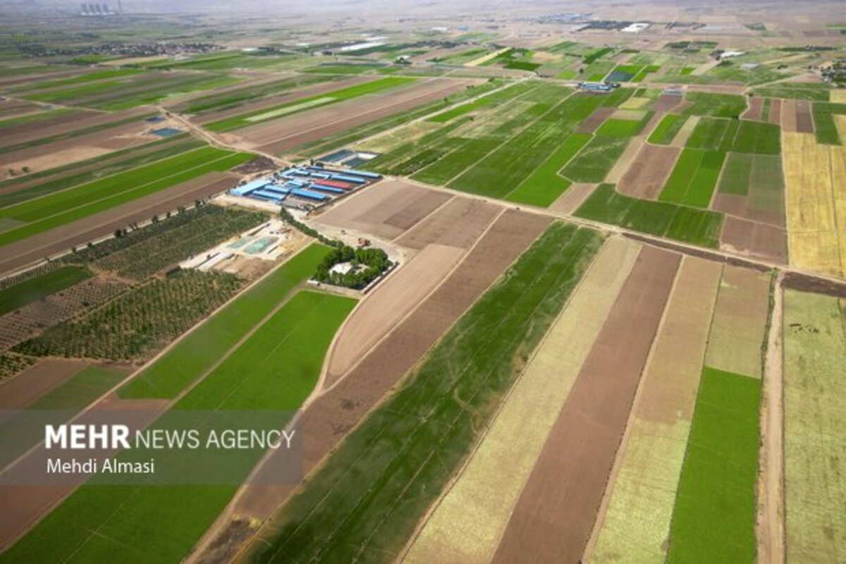 مزارع زنجان نگین سبز زمین