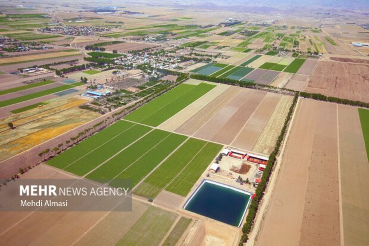 مزارع زنجان نگین سبز زمین