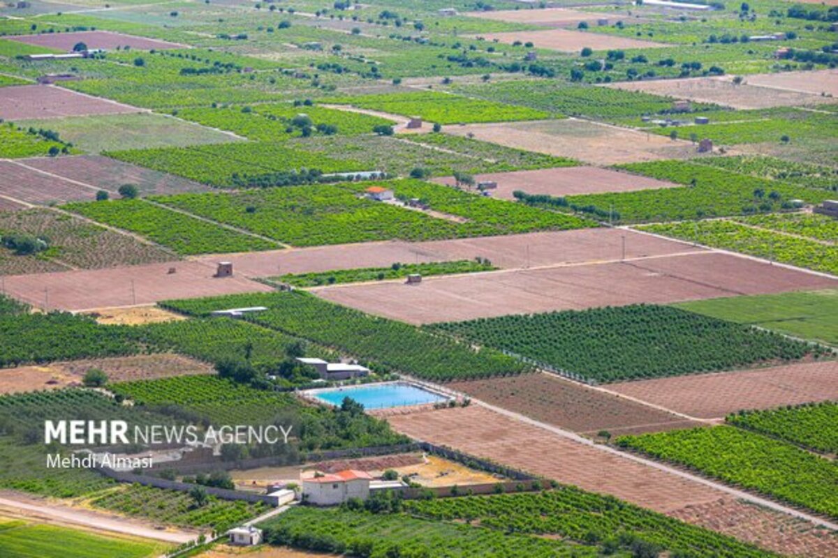 مزارع زنجان نگین سبز زمین