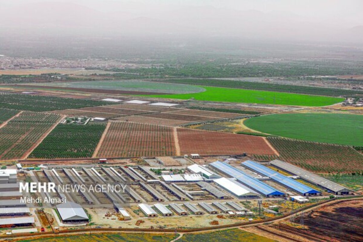 مزارع زنجان نگین سبز زمین