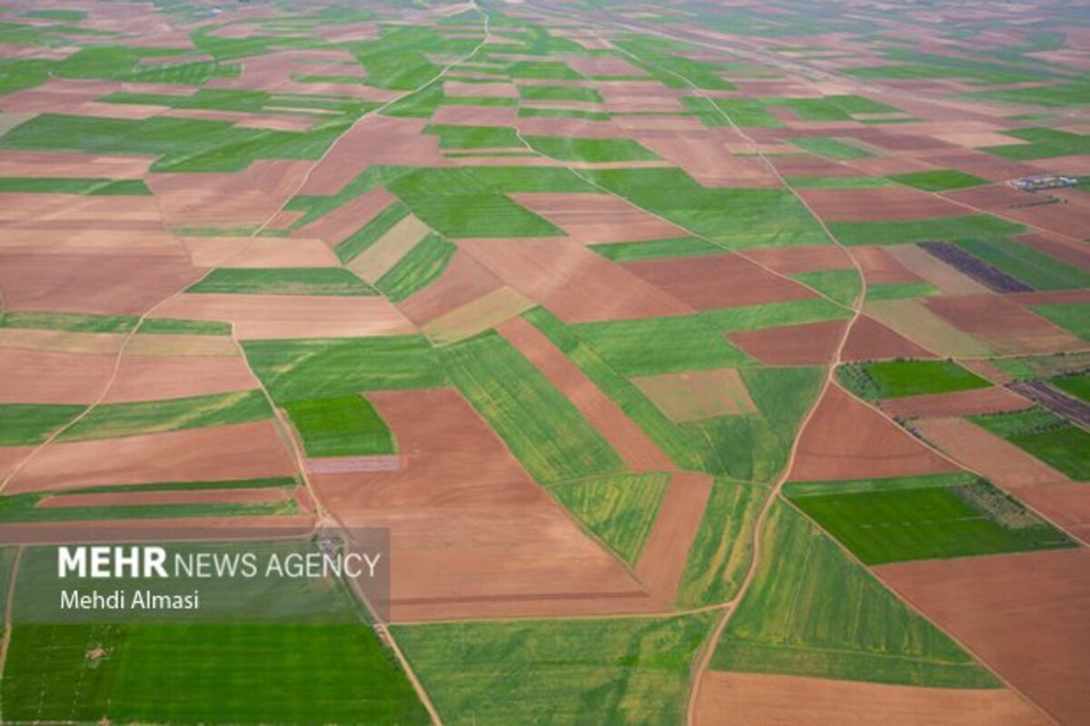 مزارع زنجان نگین سبز زمین