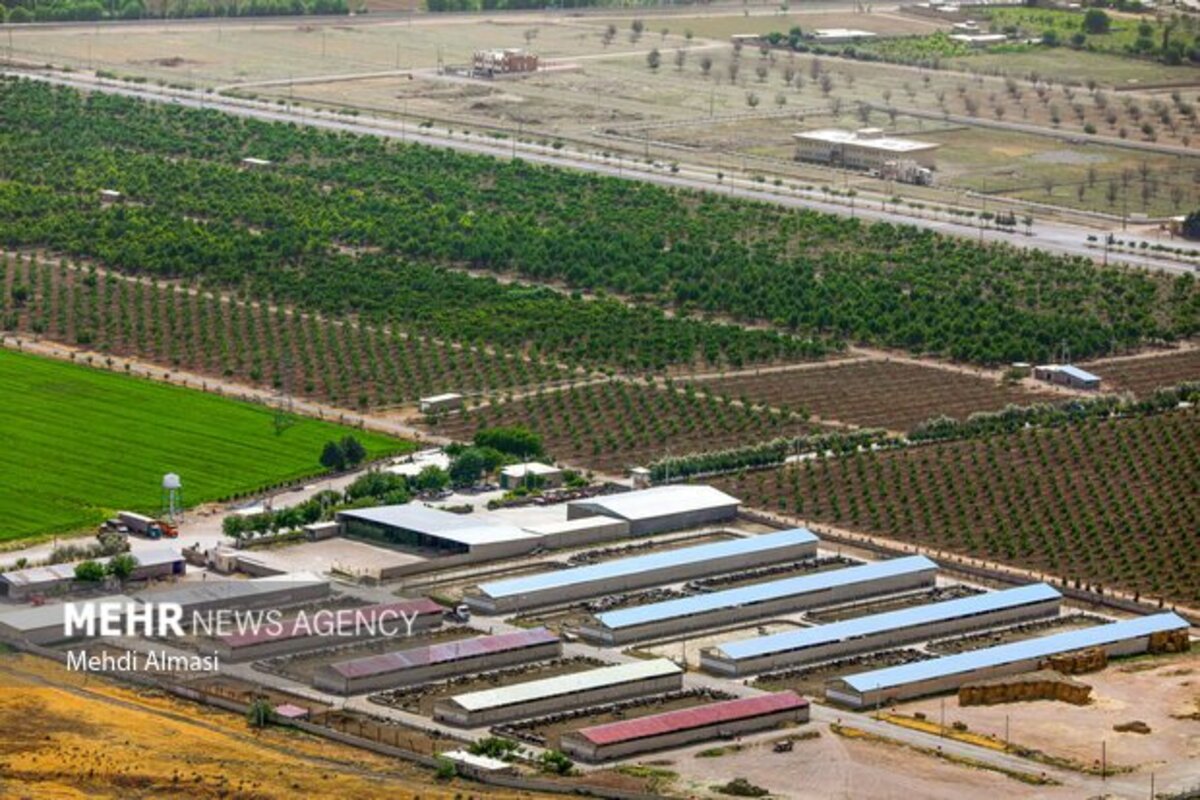 مزارع زنجان نگین سبز زمین