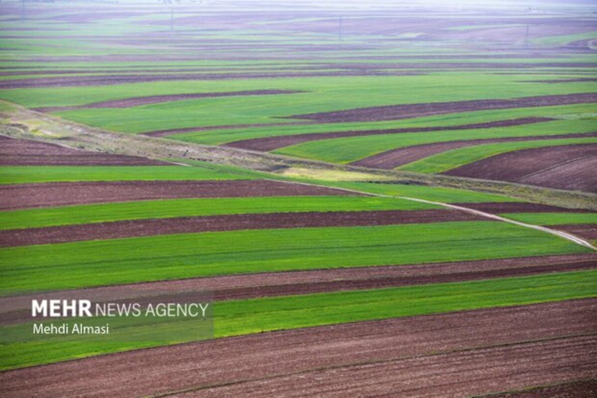 مزارع زنجان نگین سبز زمین