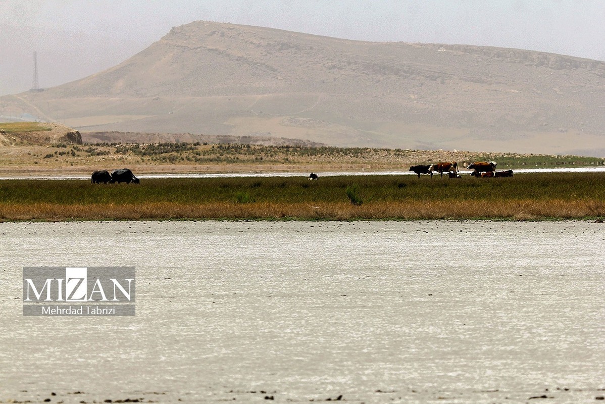 دریاچه ارومیه