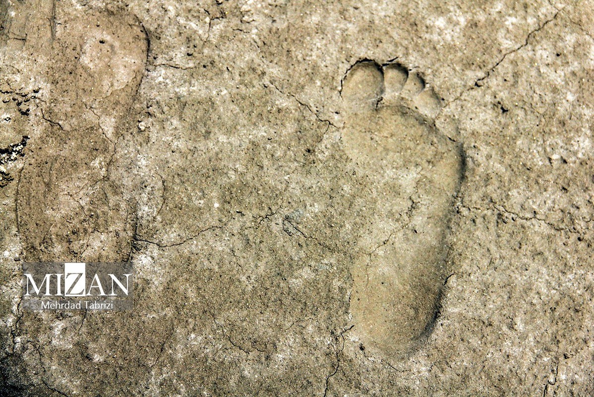 دریاچه ارومیه