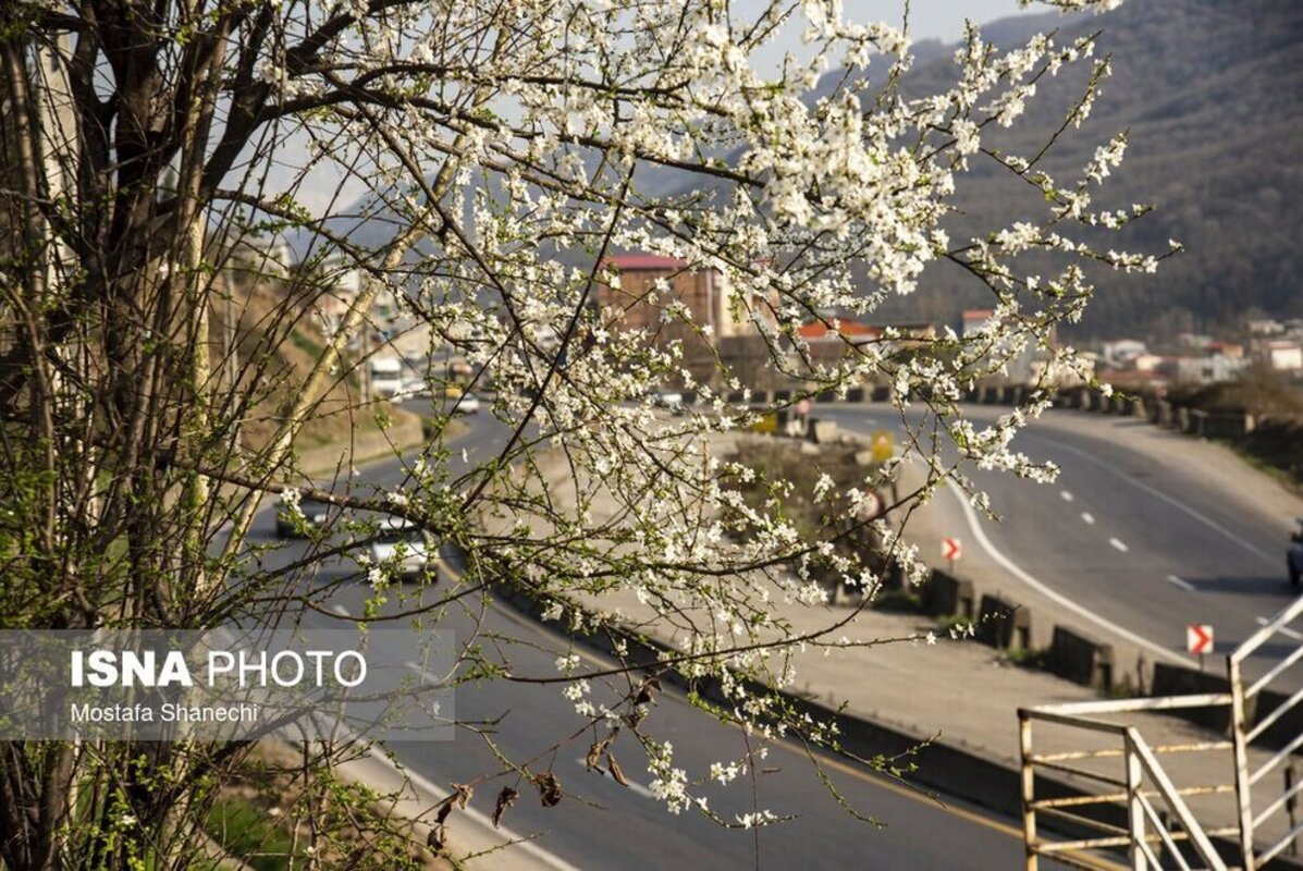 دریاچه ارومیه