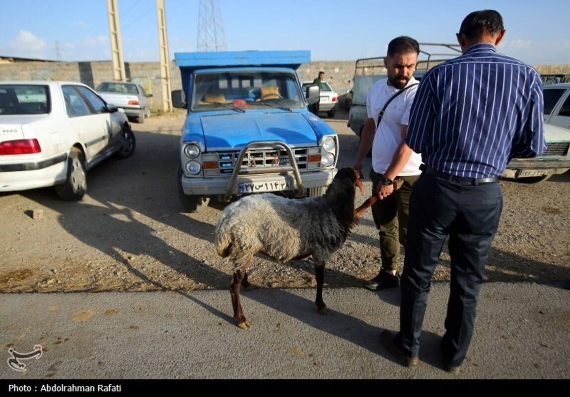 بازار فروش دام در آستانه عید قربان