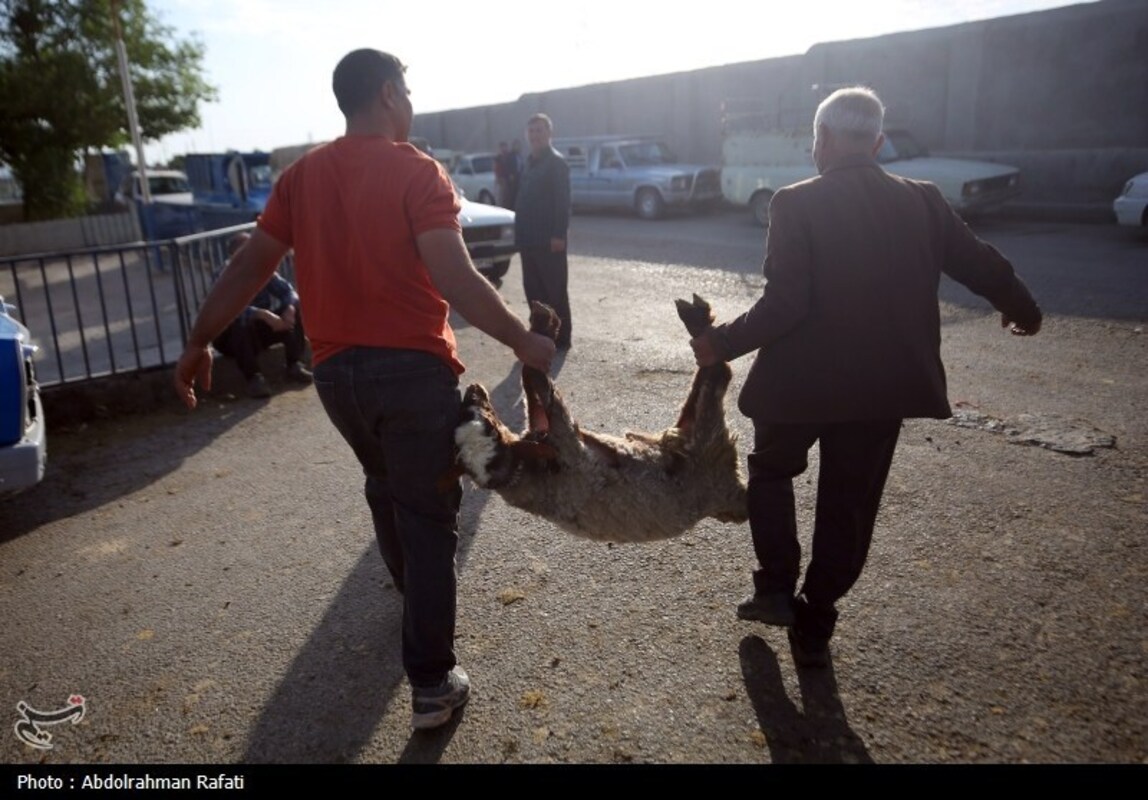 بازار فروش دام در آستانه عید قربان