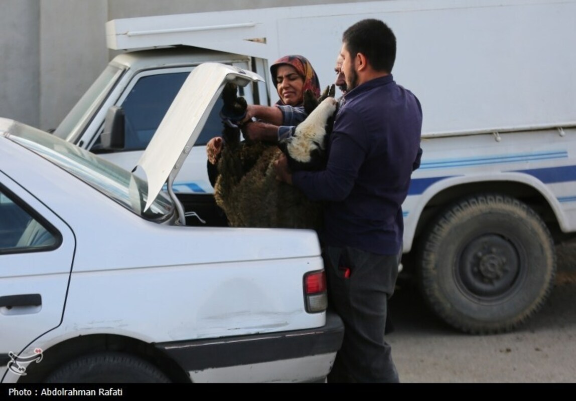 بازار فروش دام در آستانه عید قربان