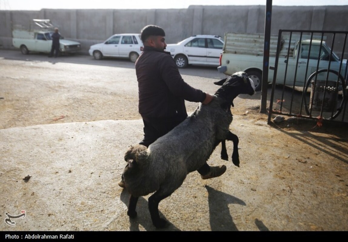 بازار فروش دام در آستانه عید قربان