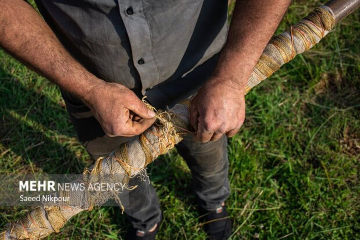 آخرین لافندبازان گیلان