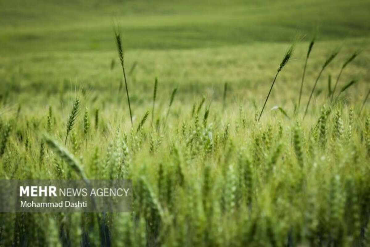 زیبایی شگفت انگیز شهرستان گرمی نگین سبز اردبیل