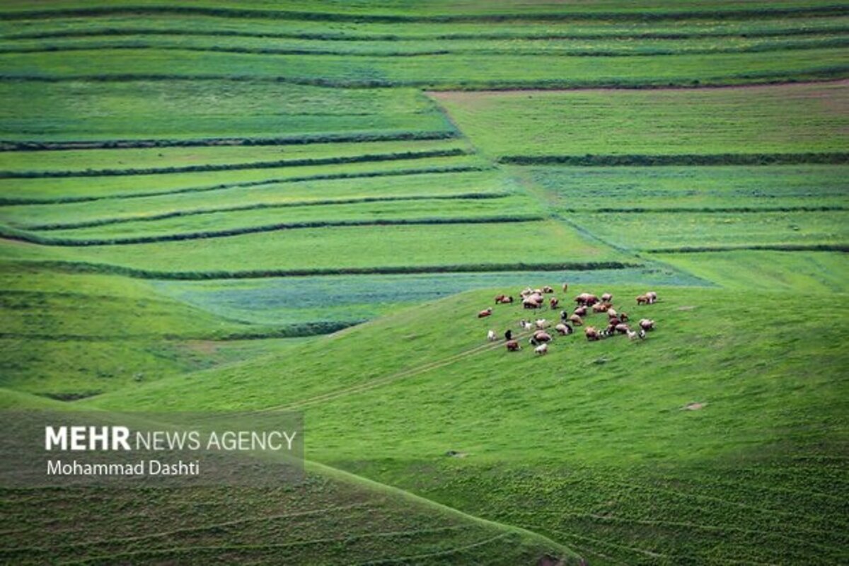 زیبایی شگفت انگیز شهرستان گرمی نگین سبز اردبیل