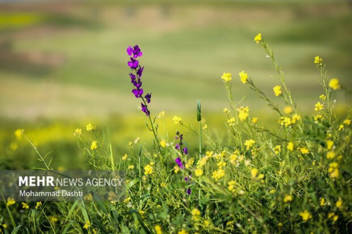 زیبایی شگفت انگیز شهرستان گرمی نگین سبز اردبیل