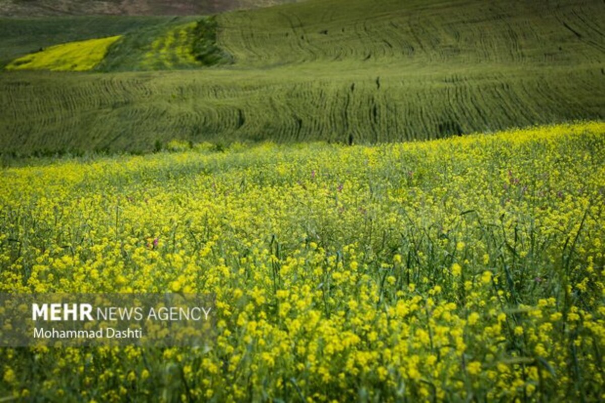 زیبایی شگفت انگیز شهرستان گرمی نگین سبز اردبیل