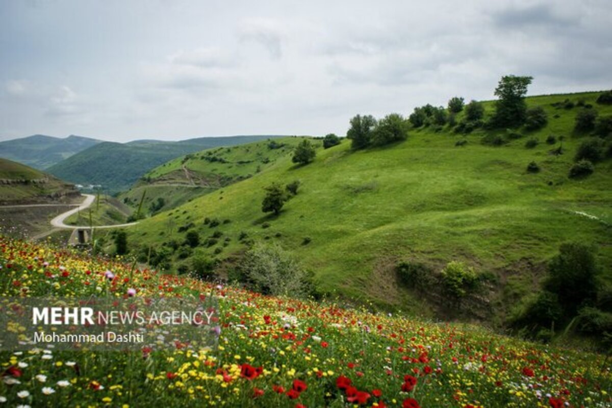 زیبایی شگفت انگیز شهرستان گرمی نگین سبز اردبیل