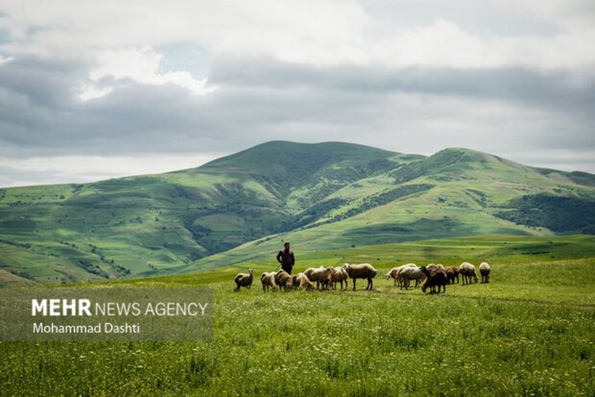 زیبایی شگفت انگیز شهرستان گرمی نگین سبز اردبیل