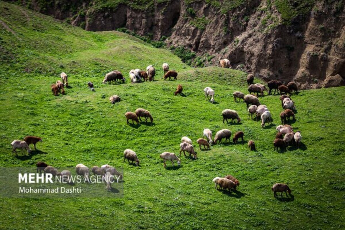 زیبایی شگفت انگیز شهرستان گرمی نگین سبز اردبیل